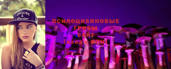 мдма Богородск