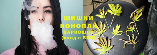 прущая мука Бородино