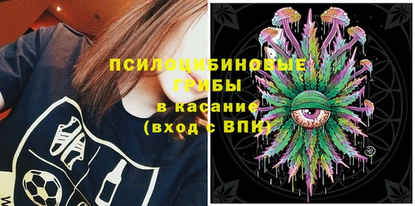 прущая мука Бородино