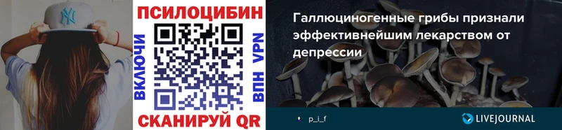 цены наркотик  Нижний Новгород  Галлюциногенные грибы прущие грибы 